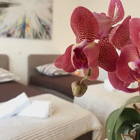 Гостевой дом Cvita & Slavko